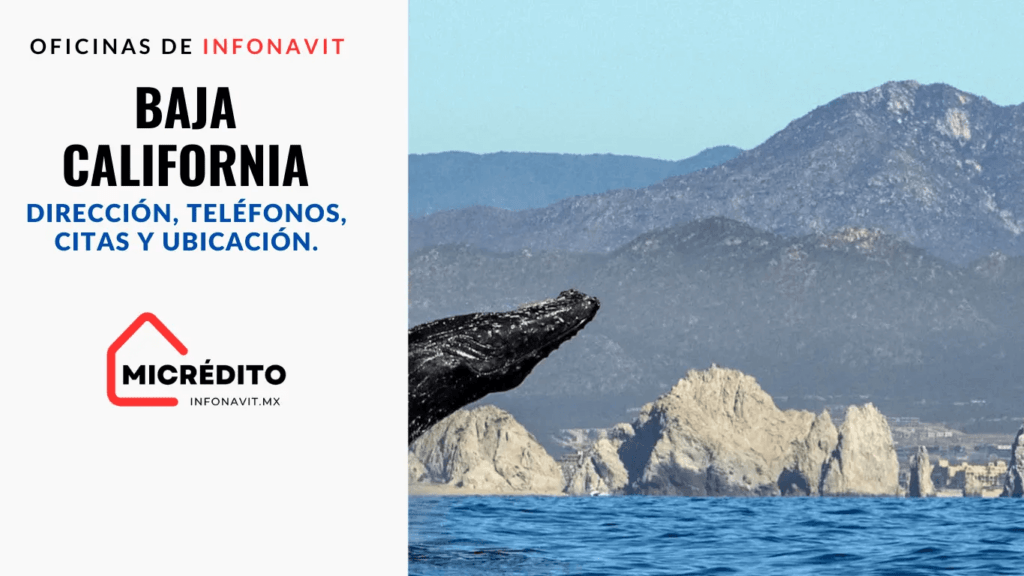 Oficinas de Infonavit Baja California OFICINAS-DEL-INFONAVIT-EN-AGUASCALIENTES